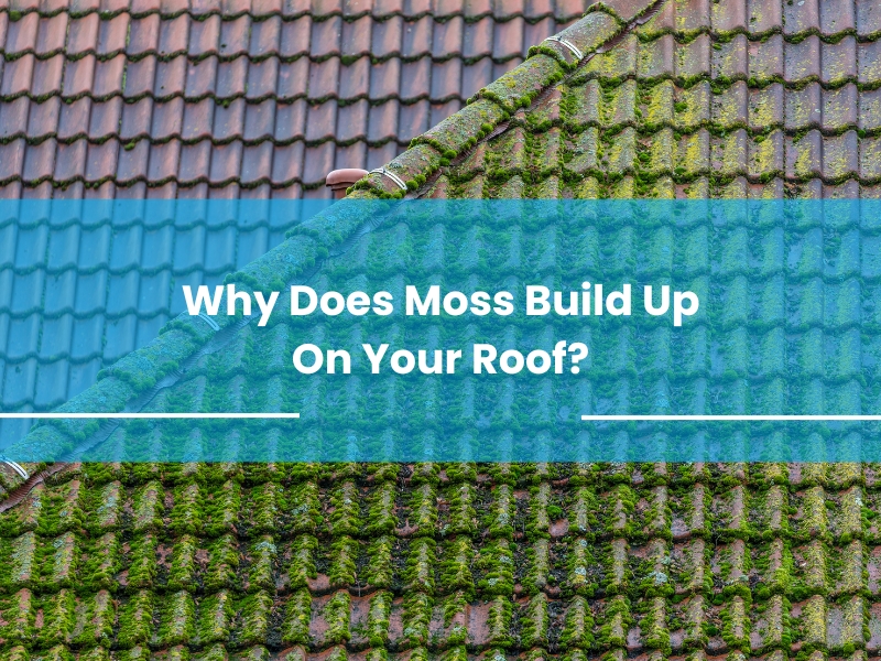 Why does moss build up on roof tiles? Moss covering half of the roof, impacting durability and appearance.